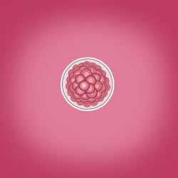 Page 19 of Yumi no Ryuugaku | 由美的留学生活