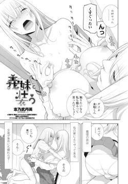 Page 219 of COMIC Penguin Club 2025-02