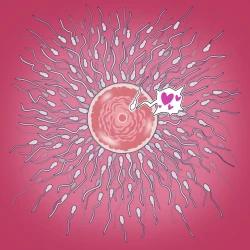 Page 16 of Yumi no Ryuugaku | 由美的留学生活