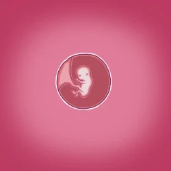 Page 70 of Yumi no Ryuugaku | 由美的留学生活