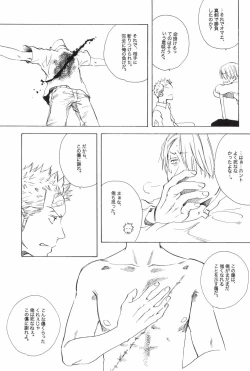 Page 51 of TCNX-2004