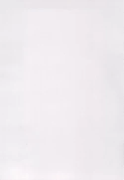 Page 4 of Mamkute Level S