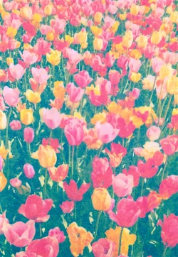 Page 2 of Kono Kimochi ni Namae o Tsukeyou.