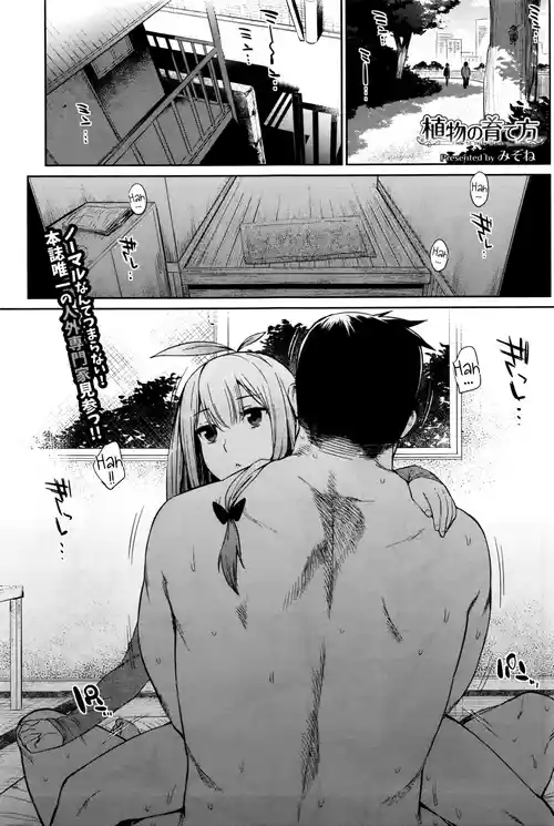 Download Shokubutsu no Sodatekata - How to raise plants