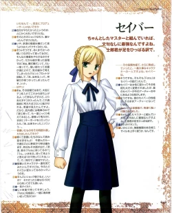 Page 29 of Fate/stay night Premium FanBook
