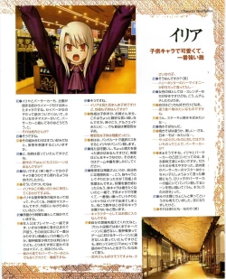 Page 33 of Fate/stay night Premium FanBook