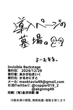 Page 21 of Invisible Backstage