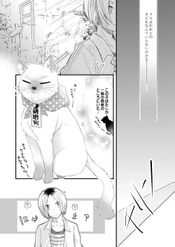 Page 9 of Kuroneko to Mikeneko no Shinkon Seikatsuroku