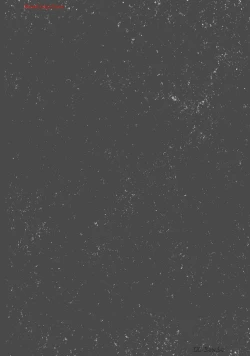 Page 189 of Boku wa Isekai de Fuyo Mahou to Shoukan Mahou wo Tenbin ni Kakeru Volume 4