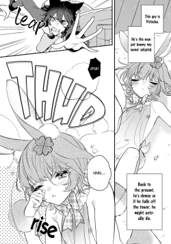 Page 5 of Neko hame usagi-chan wa gaman shinai