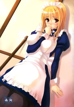 Page 6 of Fechikko VS Series ROUND.2 Miko San VS Maid San