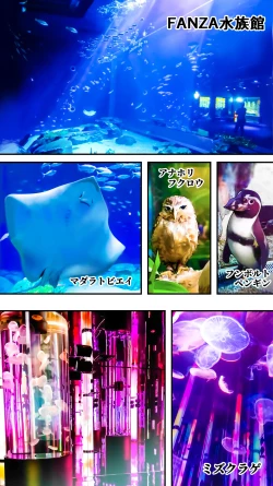 Page 191 of Kasshoku Hada Ban Meshi Han Traveller Okinawa Shuudan Rape Sumi Harem Hitoritabi Hen