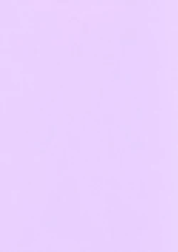 Page 2 of Yonaka no Bikini Girl