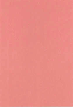 Page 4 of Joushiki Kaihen Houshi Ningyou Kirijou-ke Reijou Kanzen Shihai Kiroku