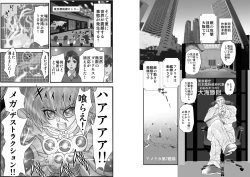 Page 2 of ShaladerD09