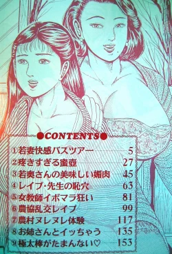 Page 2 of Kyonyuu Oku-sama wa Inran Zakari