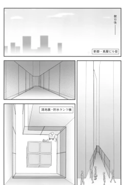 Page 10 of Netorareta Hime Kihei