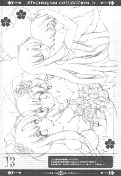 Page 13 of Shigukore 21