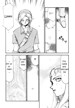 Page 10 of NISE Zelda no Densetsu Shinshou