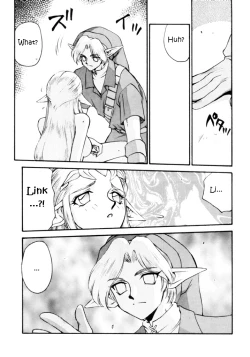 Page 11 of NISE Zelda no Densetsu Shinshou