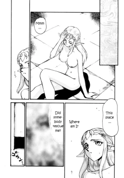 Page 9 of NISE Zelda no Densetsu Shinshou