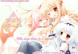 Page 12 of Honeypot.cbx