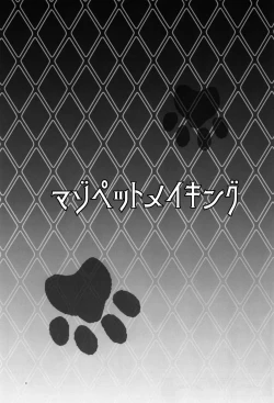 Page 3 of Maso Pet Making + Paper