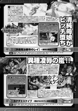 Page 161 of BugBug 2025-03