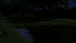 Page 21 of （宫水三叶）【姐妹性事蛇年特别篇】