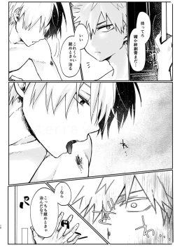Page 14 of 透明バイパス