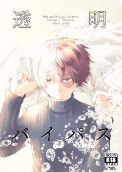 Page 1 of 透明バイパス