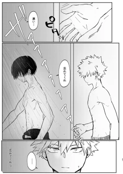 Page 25 of 透明バイパス