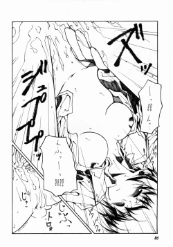 Page 19 of Nightly Festival