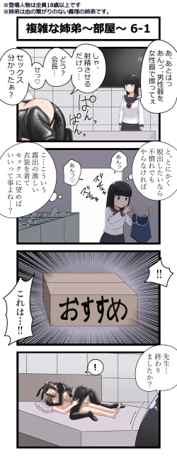 Page 11 of 複雑な姉弟～部屋～
