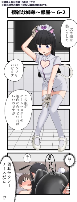 Page 12 of 複雑な姉弟～部屋～