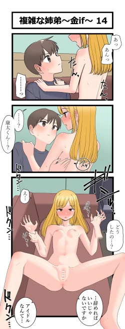 Page 14 of 複雑な姉弟～金if～
