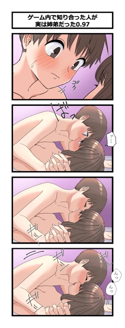 Page 14 of 複雑な姉弟