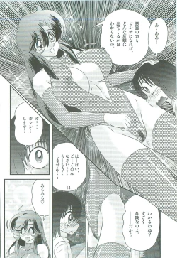 Page 17 of Seirei Tokusou Fairy Saber W Majo no Chibusa