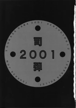 Page 7 of Tsukasa Bullet 2001