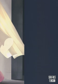 Page 26 of Elf no Seishokusha Ninian