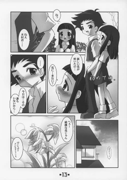 Page 13 of DELTA PETIT