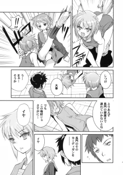 Page 23 of Alterna SP