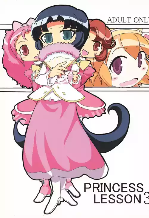 Download PRINCESS LESSON 3