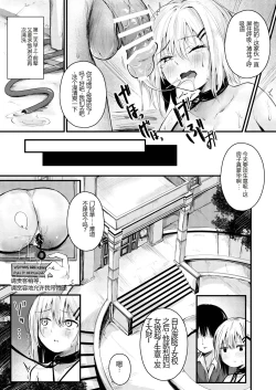 Page 17 of Josei no Kenri ga Ushinawareta Kuni