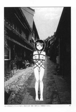 Page 3 of Mazo Shino Ichi