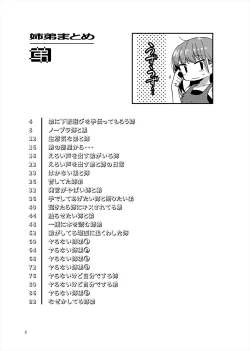 Page 2 of 「姉弟まとめ：弟」プレビュー版！