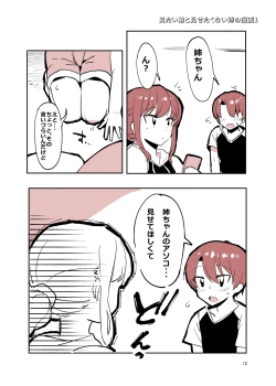 Page 11 of 姉弟まとめ：姉