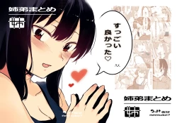 Page 1 of 姉弟まとめ：姉