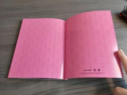 Page 40 of Highschool DxD Hero BD booklet scans