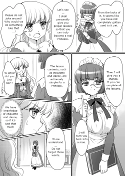 Page 17 of Zettai ni Ohimesama Taiken de Ohime-sama ni Sareta OreI was made into a princess through the princess experience~